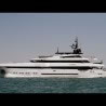 Prince Shark 49m