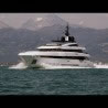 Prince Shark 49m