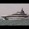 Prince Shark 49m